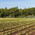 Organic farming is a farming method, where crop, animal and farm wastes, aquatic waste and other biological materials are used.