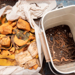 7 Best Worm Composter Bins