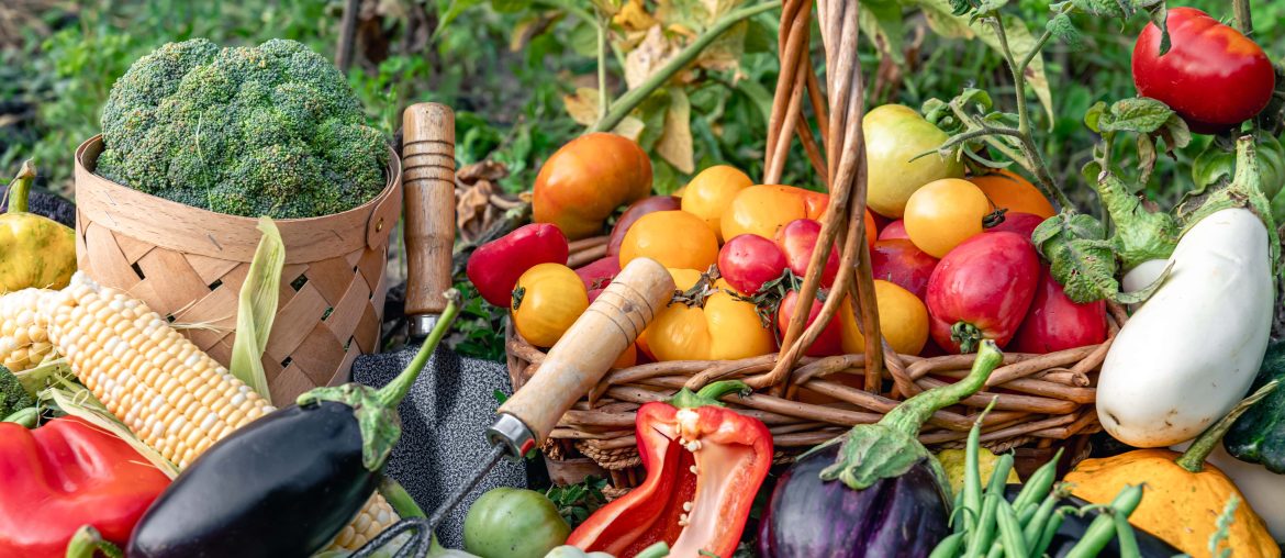 Fast Growing Vegetables For Rooftop Gardening