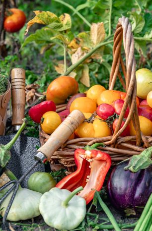 19 Fast Growing Vegetables For Rooftop Gardening