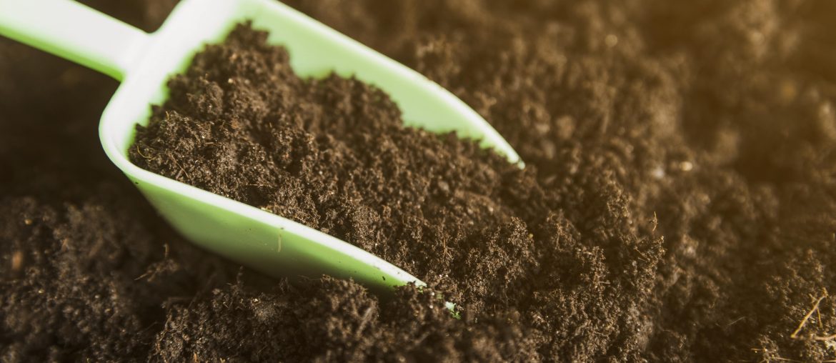 8 Best Potting Soil for Indoor Plants and Outdoor Potted Plants