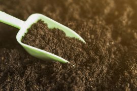 8 Best Potting Soil for Indoor Plants and Outdoor Potted Plants