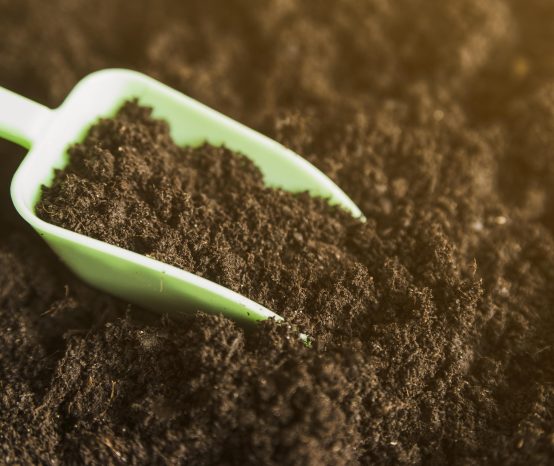 8 Best Potting Soil for Indoor Plants and Outdoor Potted Plants