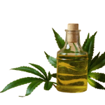 07 Best Neem Oil For Plants l Garden Plant Solution