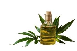 07 Best Neem Oil For Plants l Protect Plants From Pests