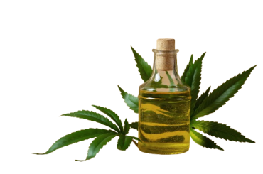 07 Best Neem Oil For Plants l Garden Plant Solution