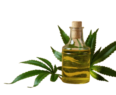 07 Best Neem Oil For Plants l Protect Plants From Pests