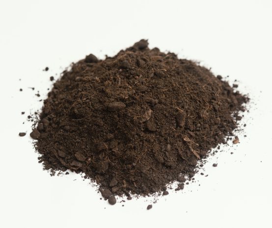 08 Best Seed Starting Soil l Garden Potting Soil Solution