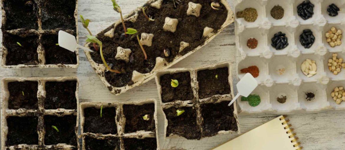 8 Best Seed Starting Soil Mix I Basic Garden Potting Soil