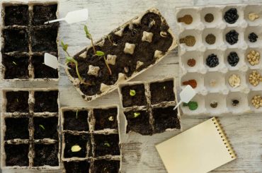 8 Best Seed Starting Soil Mix I Basic Garden Potting Soil