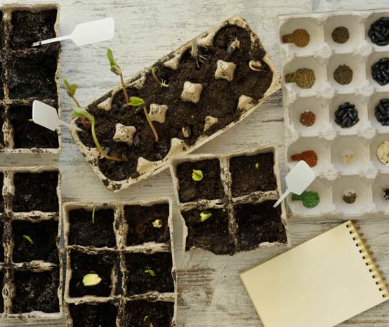 8 Best Seed Starting Soil Mix I Garden Basic Potting Soil