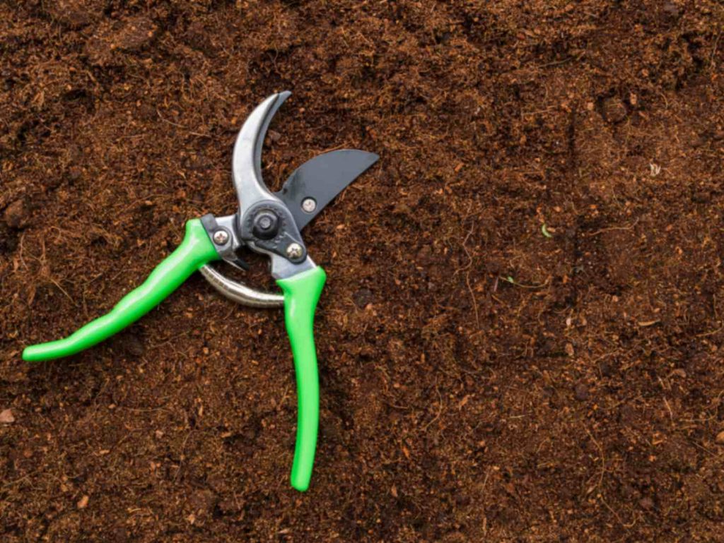 The 8 Best Pruning Shears for Gardening 2026