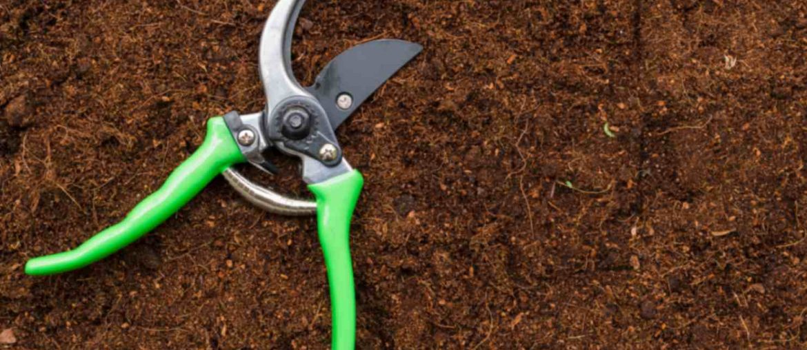 The 8 Best Pruning Shears for Gardening 2026