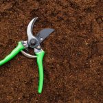 The 8 Best Pruning Shears for Gardening 2026