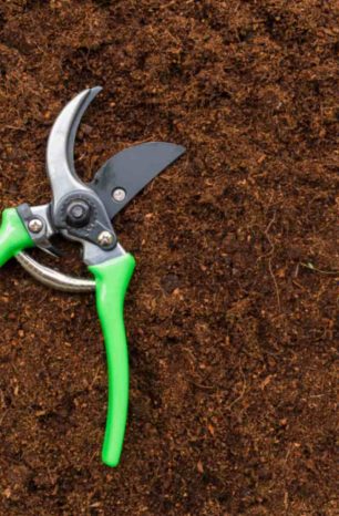 The 8 Best Pruning Shears for Gardening 2026