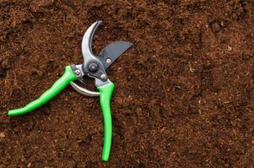The 8 Best Pruning Shears for Gardening 2026