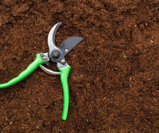 The 8 Best Pruning Shears for Gardening 2026